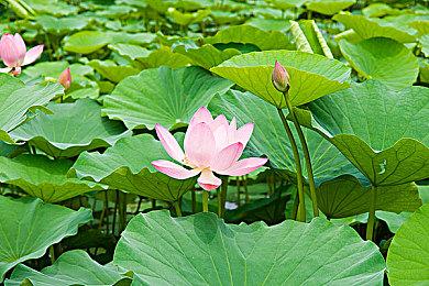 《超级机器人大战Y》公布 登陆Switch＆Steam＆PS5